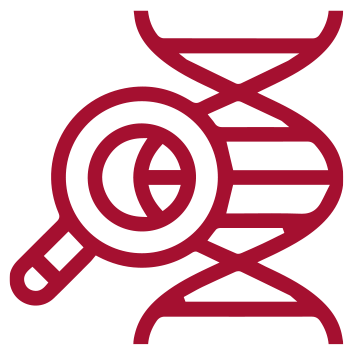 Ricerca