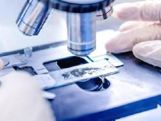 Fondazione Lonati sostiene  Laboratorio Anatomia Patologica